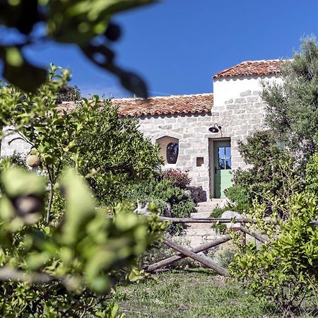 Gallicantu Stazzo Retreat Luogosanto Екстериор снимка