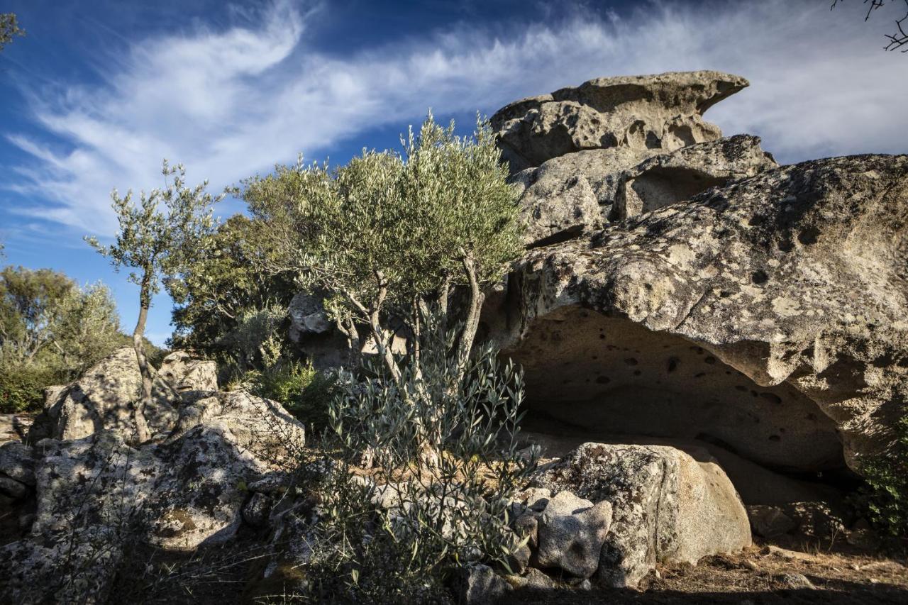 Gallicantu Stazzo Retreat Luogosanto Екстериор снимка