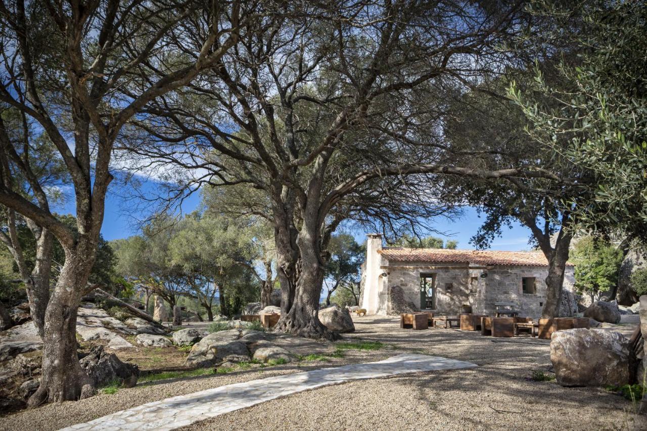 Gallicantu Stazzo Retreat Luogosanto Екстериор снимка