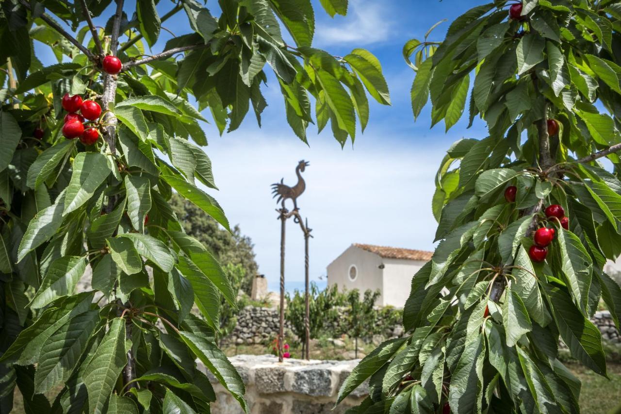 Gallicantu Stazzo Retreat Luogosanto Екстериор снимка