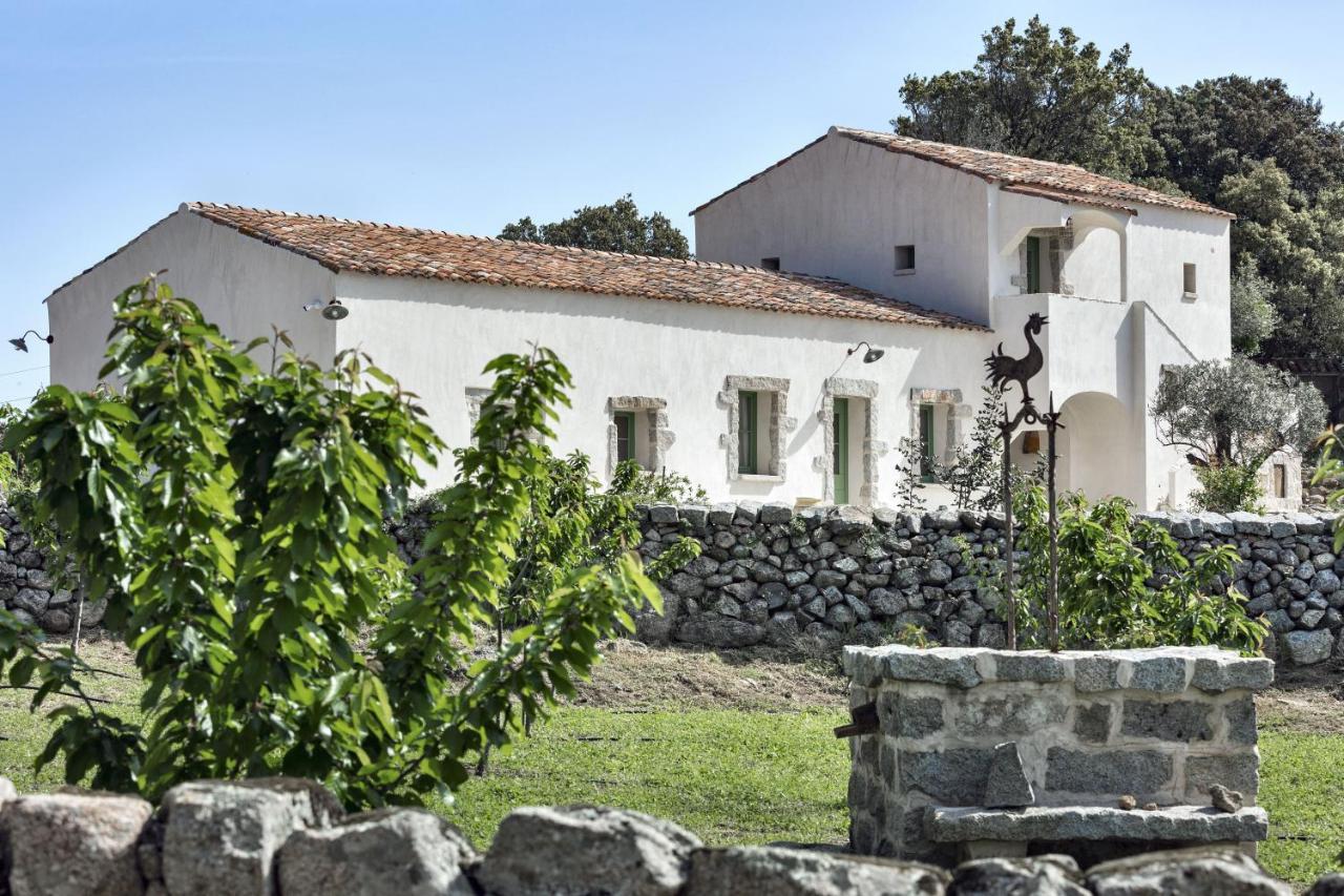 Gallicantu Stazzo Retreat Luogosanto Екстериор снимка