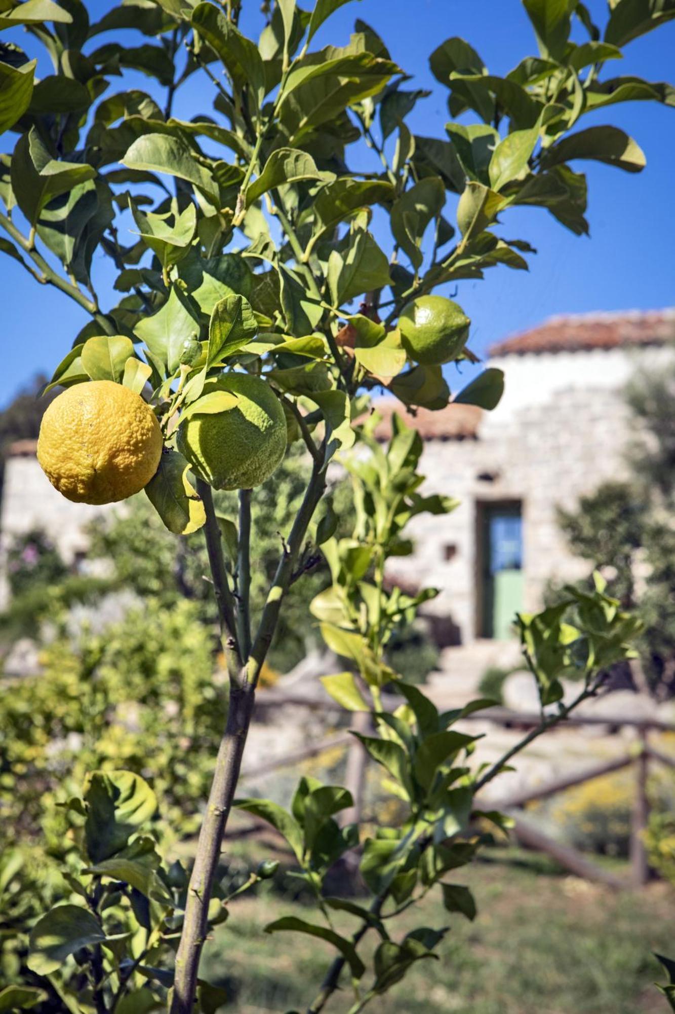 Gallicantu Stazzo Retreat Luogosanto Екстериор снимка