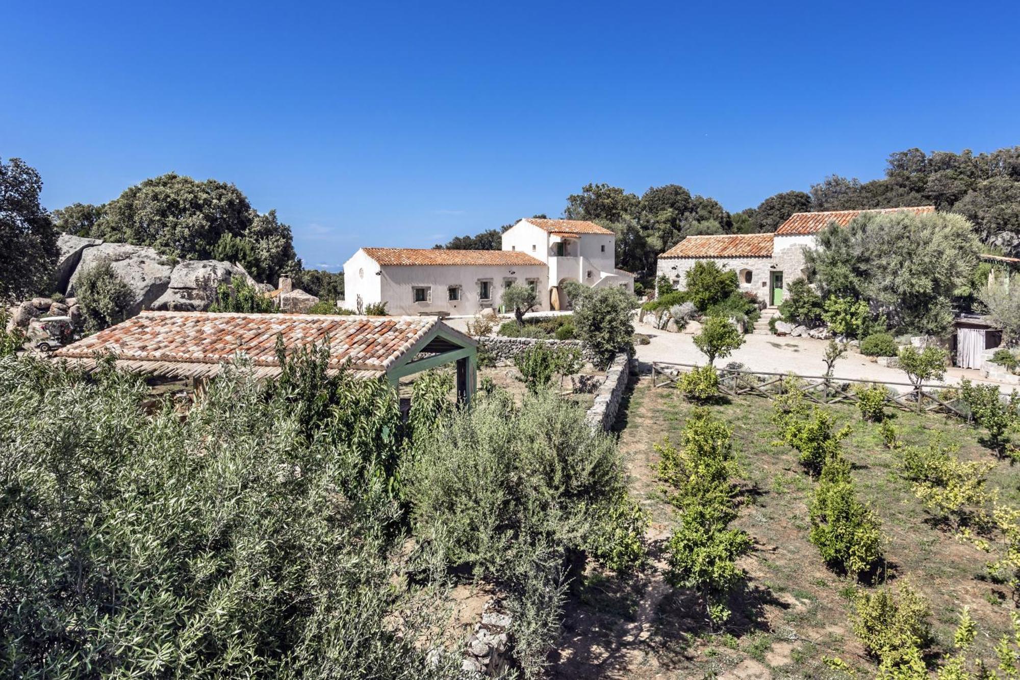 Gallicantu Stazzo Retreat Luogosanto Екстериор снимка